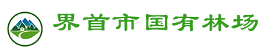 界首市国有林场